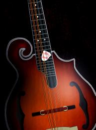 Bluegrass Mandolin